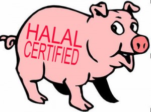 halal-pig